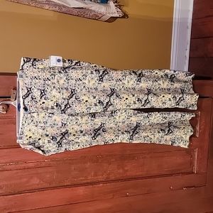 Free People ankle length pants